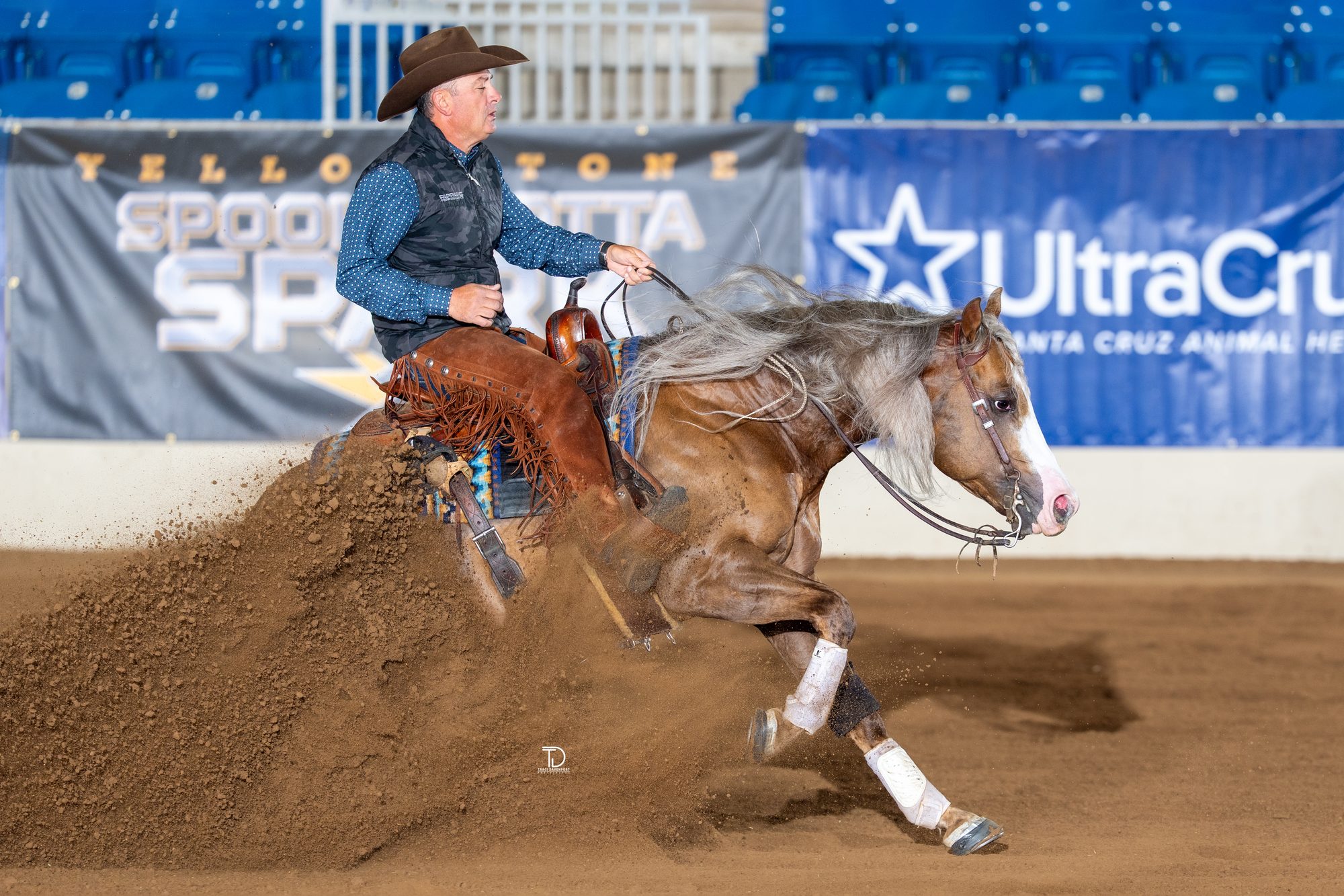 Andrea Fappani and Alpha Viking reining, photographed by Traci Davenport