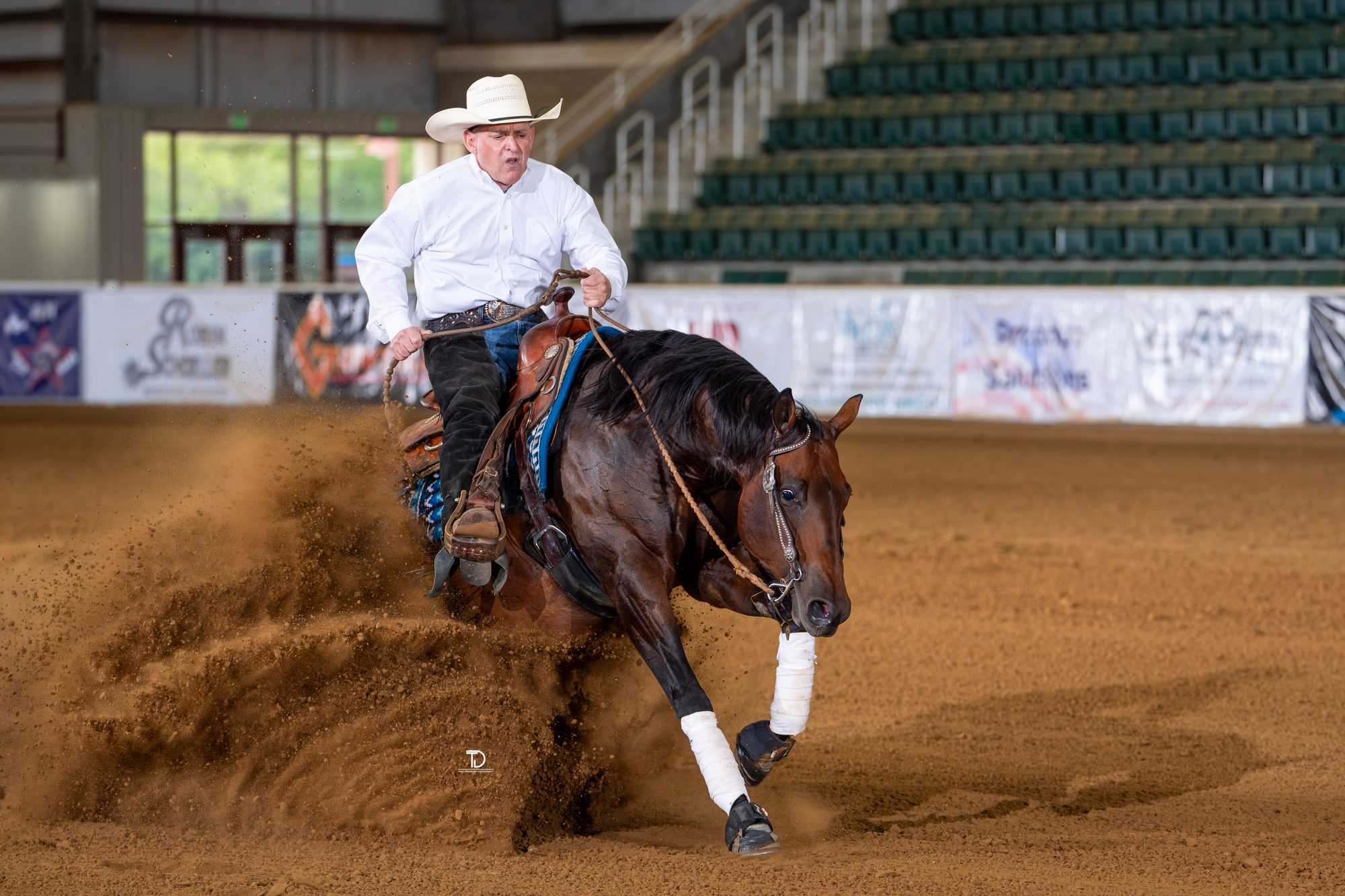 Reining photography by Traci Davenport