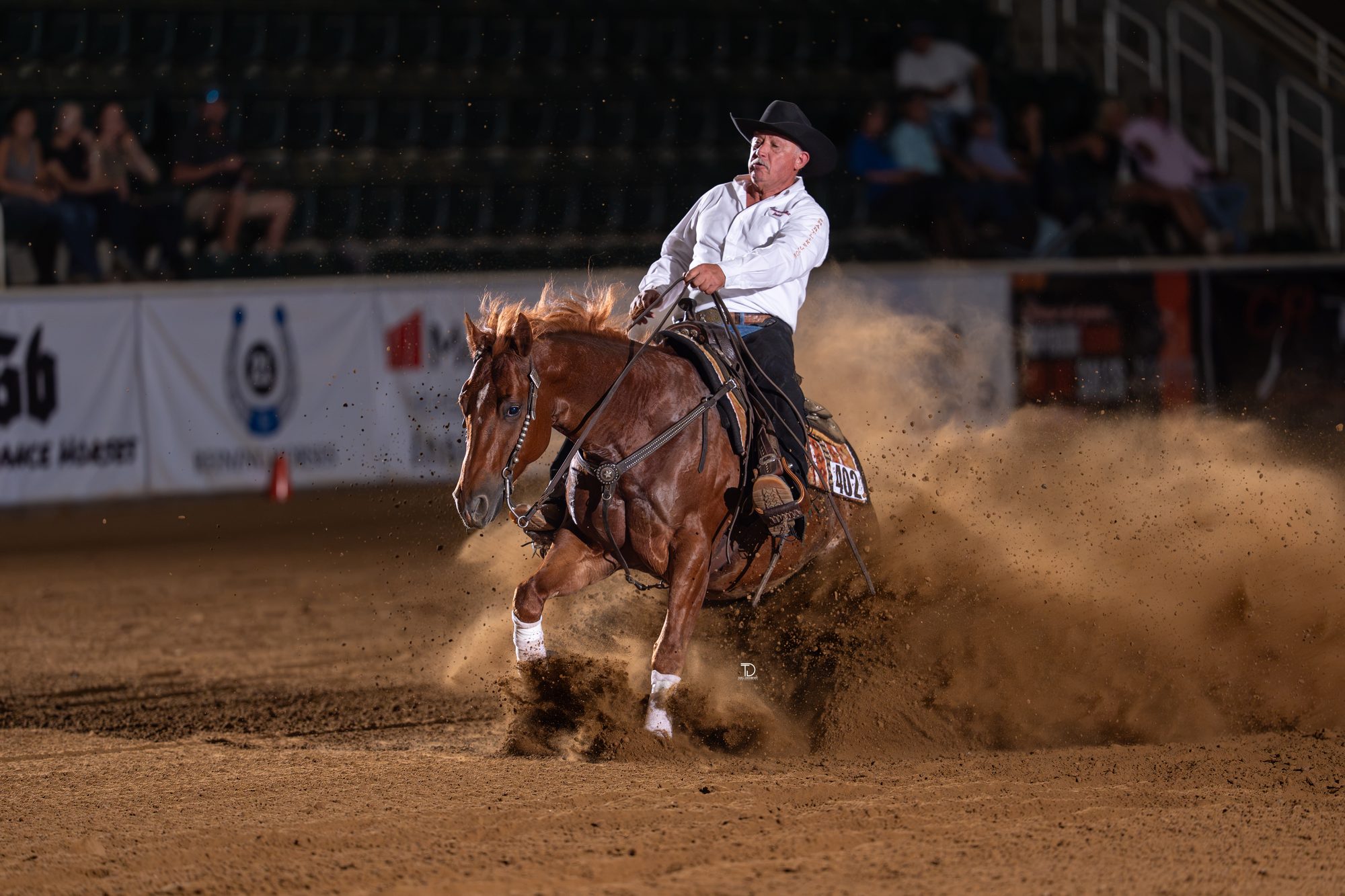 Reining photography by Traci Davenport
