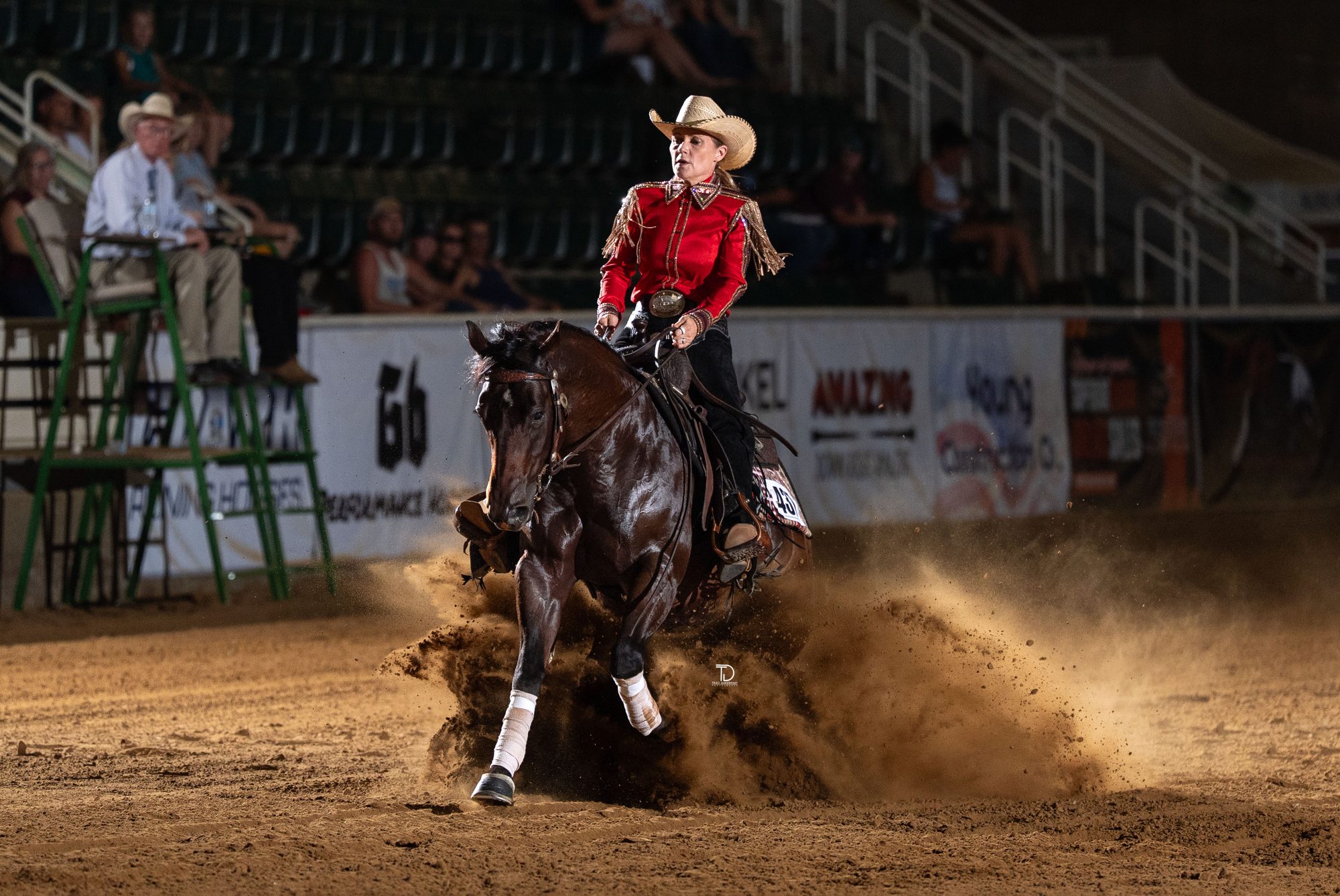 Reining photography by Traci Davenport