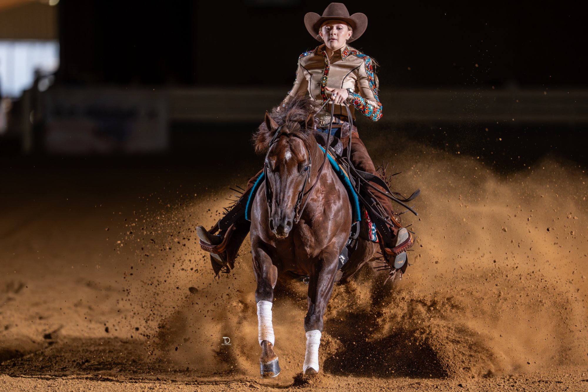 Reining photography by Traci Davenport