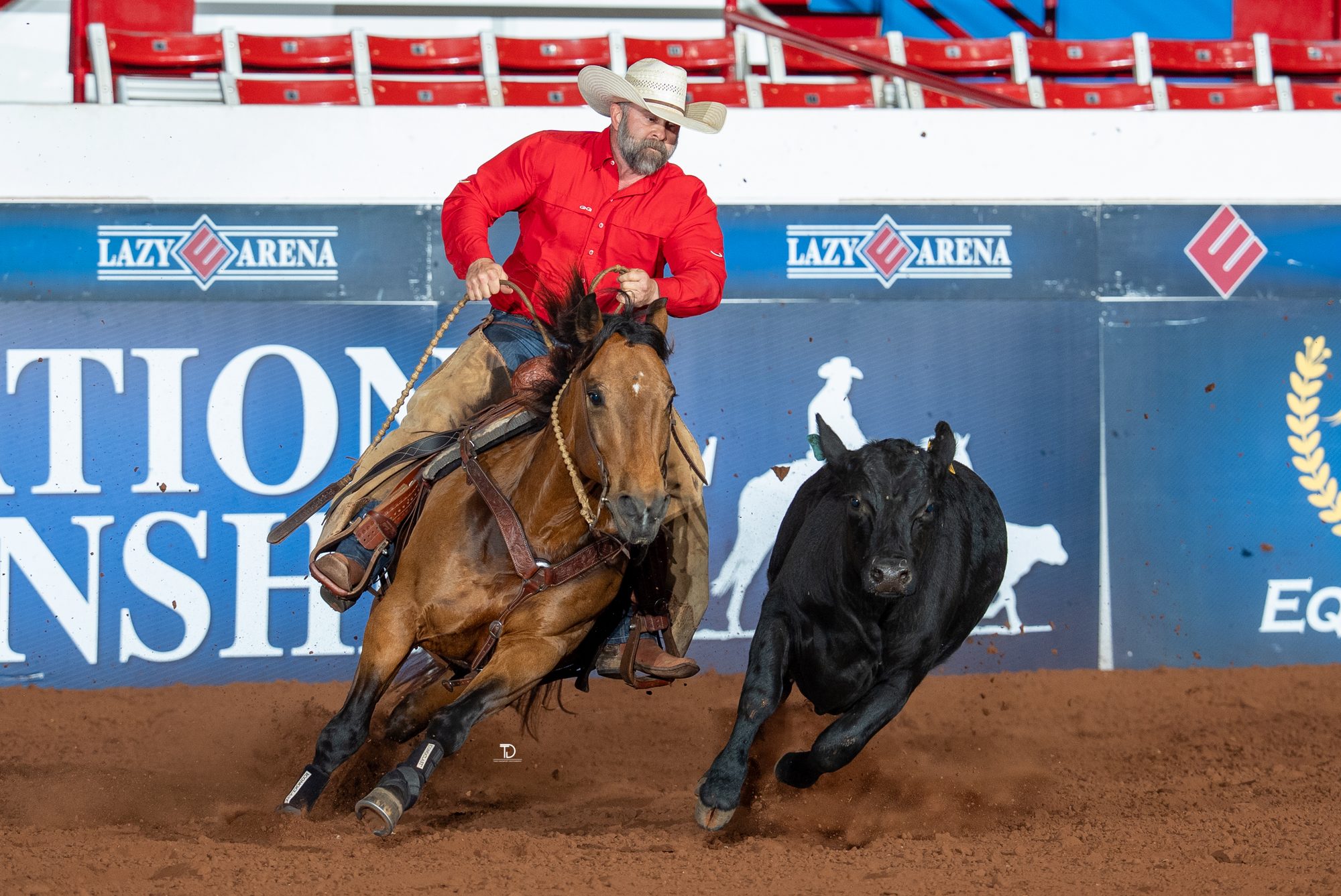Ranch horse cow work photography by Traci Davenport