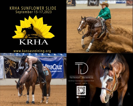 KRHA SUNFLOWER SLIDE 2023