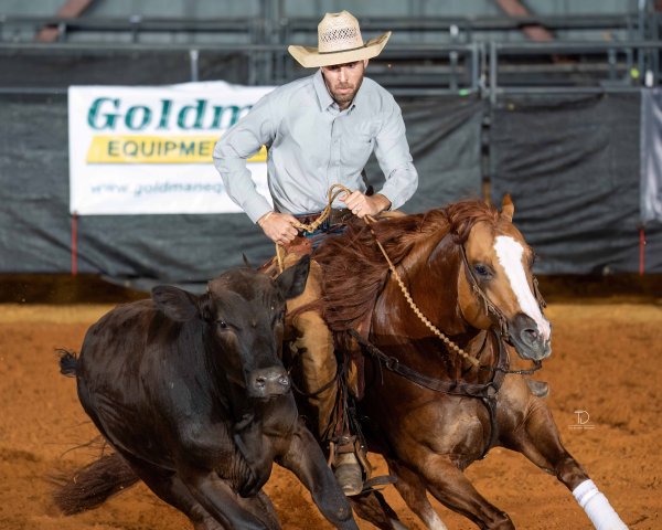 276_Cody Patterson_Quails Dun Remedy_BRIDLE OPN SPEC_FRI_LA CLASSIC_18_TDP08034.jpg