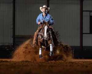 821_Will Letner_Sally Be Tuff_Open Bridle_sat_2025_Louisiana_Classic_23_sat remote opn_DSC06623.jpg